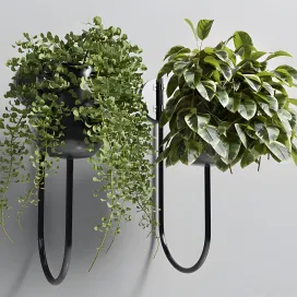 Collection indoor plant vase metal stand wall plant